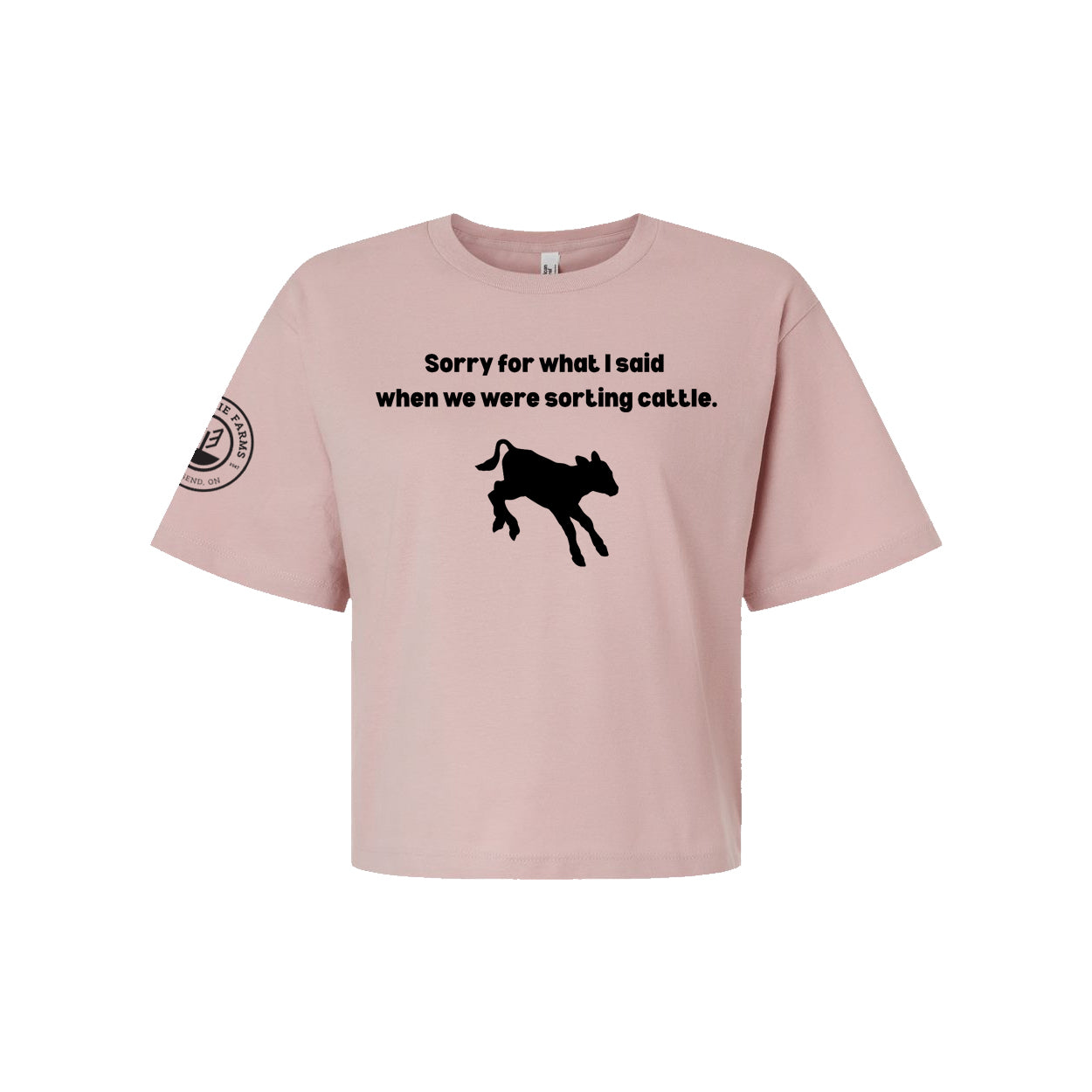 T-shirt à manches courtes de l'école primaire St. Thomas Stars - Adulte