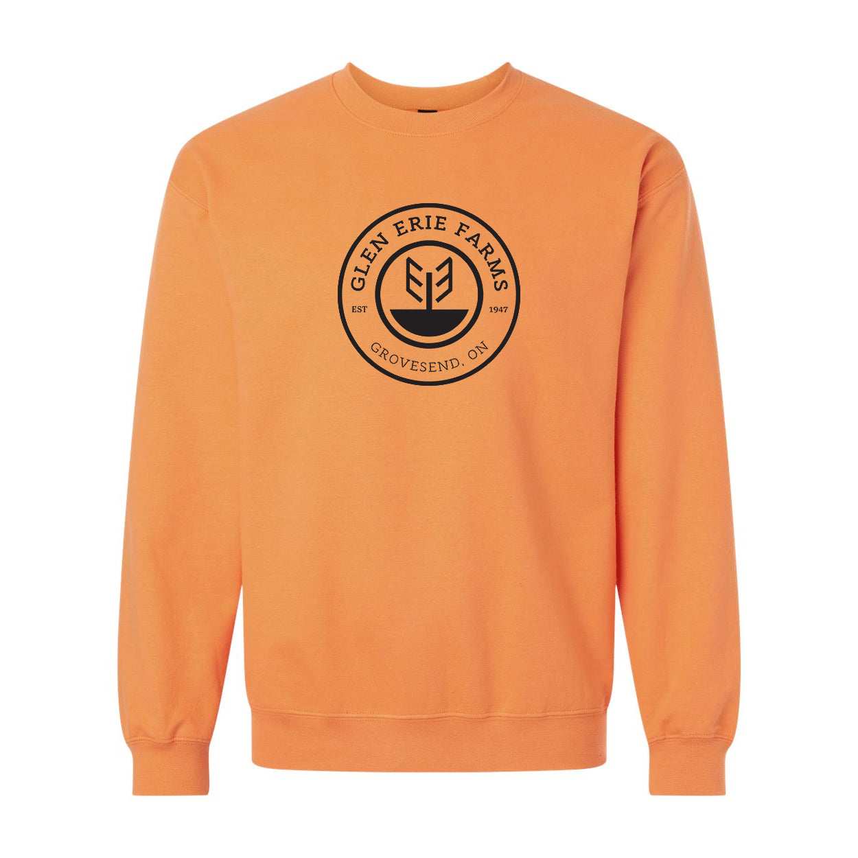 T-shirt à manches courtes de l'école primaire St. Thomas Stars - Adulte