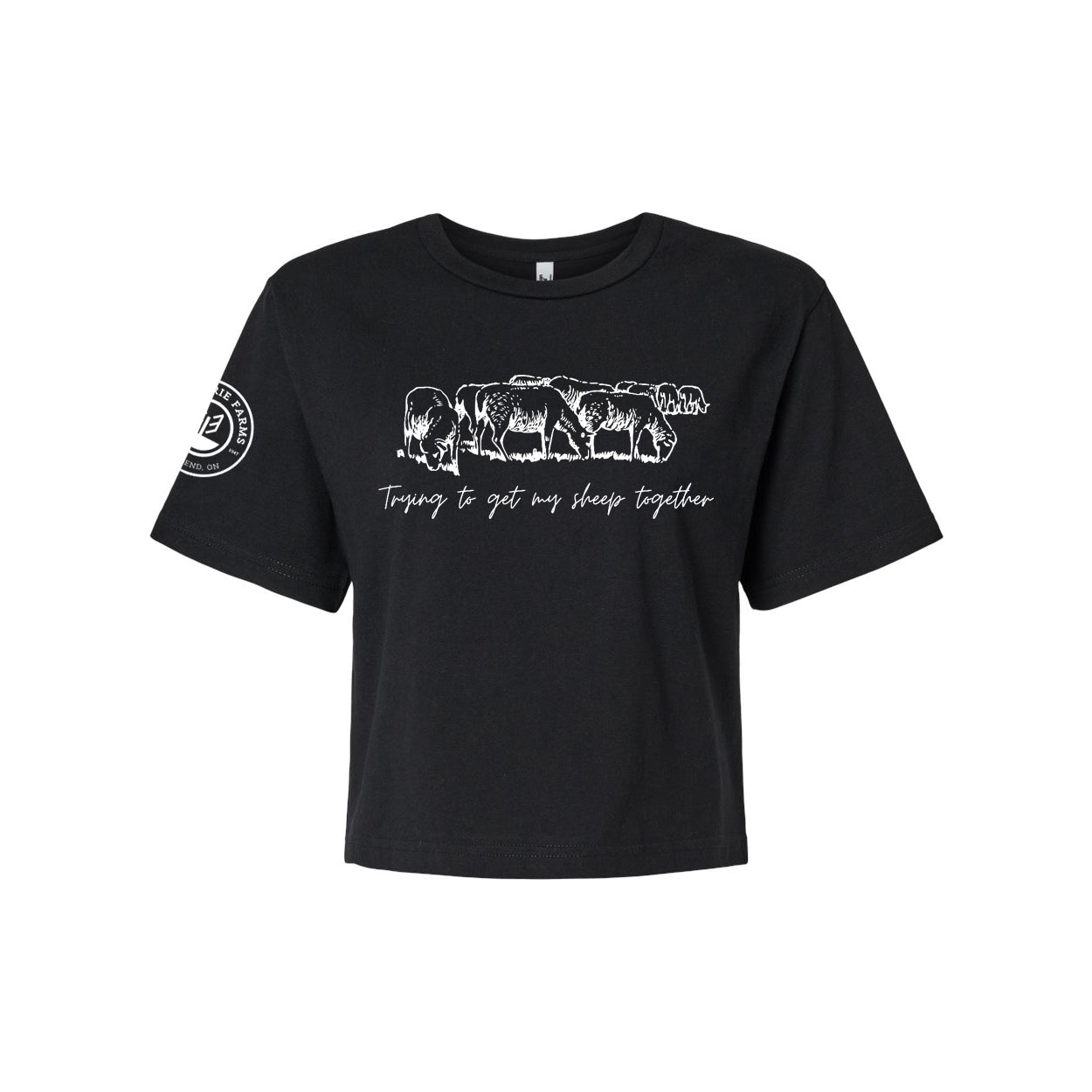 Glen Erie Farms Ladies' Mid-Length Boxy Tee - Trying To Get My Sheep Together