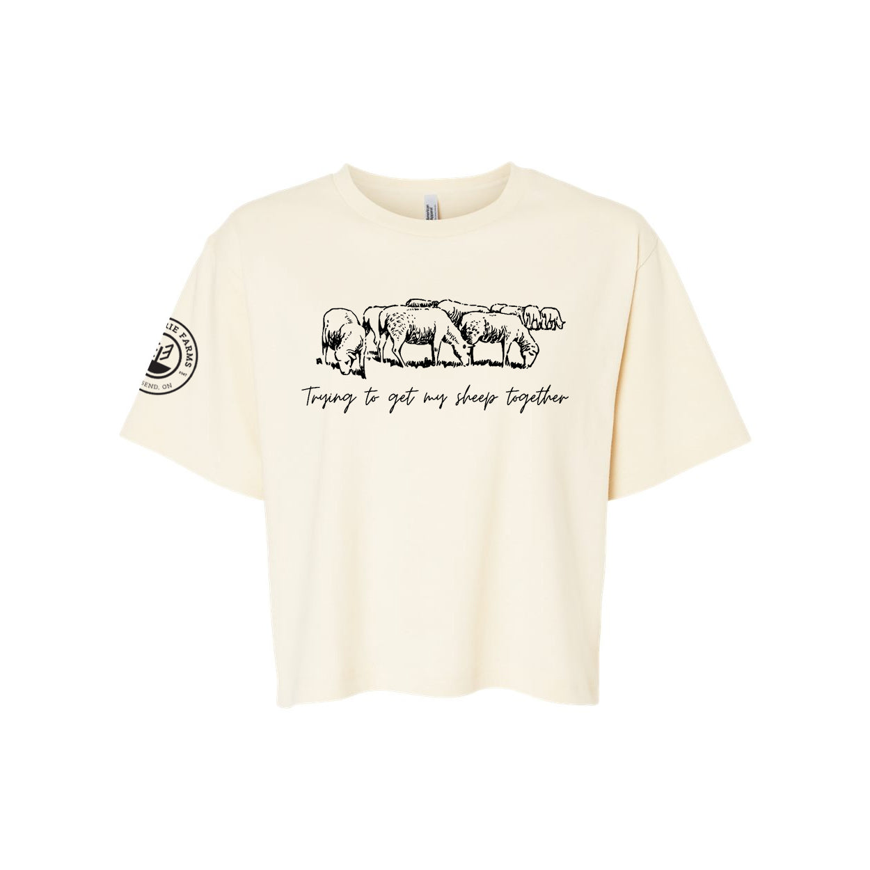 Glen Erie Farms Ladies' Mid-Length Boxy Tee - Trying To Get My Sheep Together