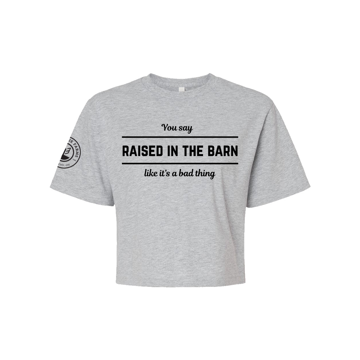 Glen Erie Farms Ladies' Mid-Length Boxy Tee - Raised In The Barn - Heather Grey