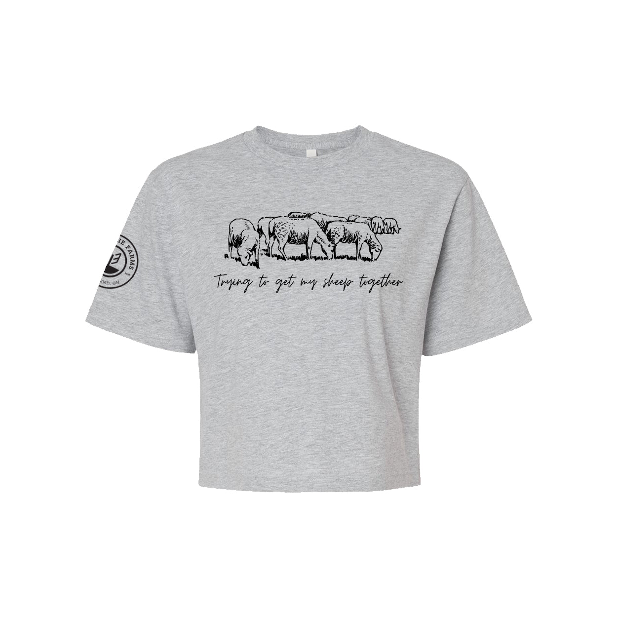 Glen Erie Farms Ladies' Mid-Length Boxy Tee - Trying To Get My Sheep Together