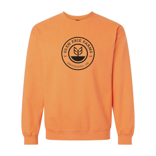 T-shirt à manches courtes de l'école primaire St. Thomas Stars - Adulte